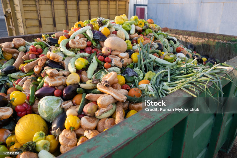A Mission to Save Food: Reducing Waste by Discounting